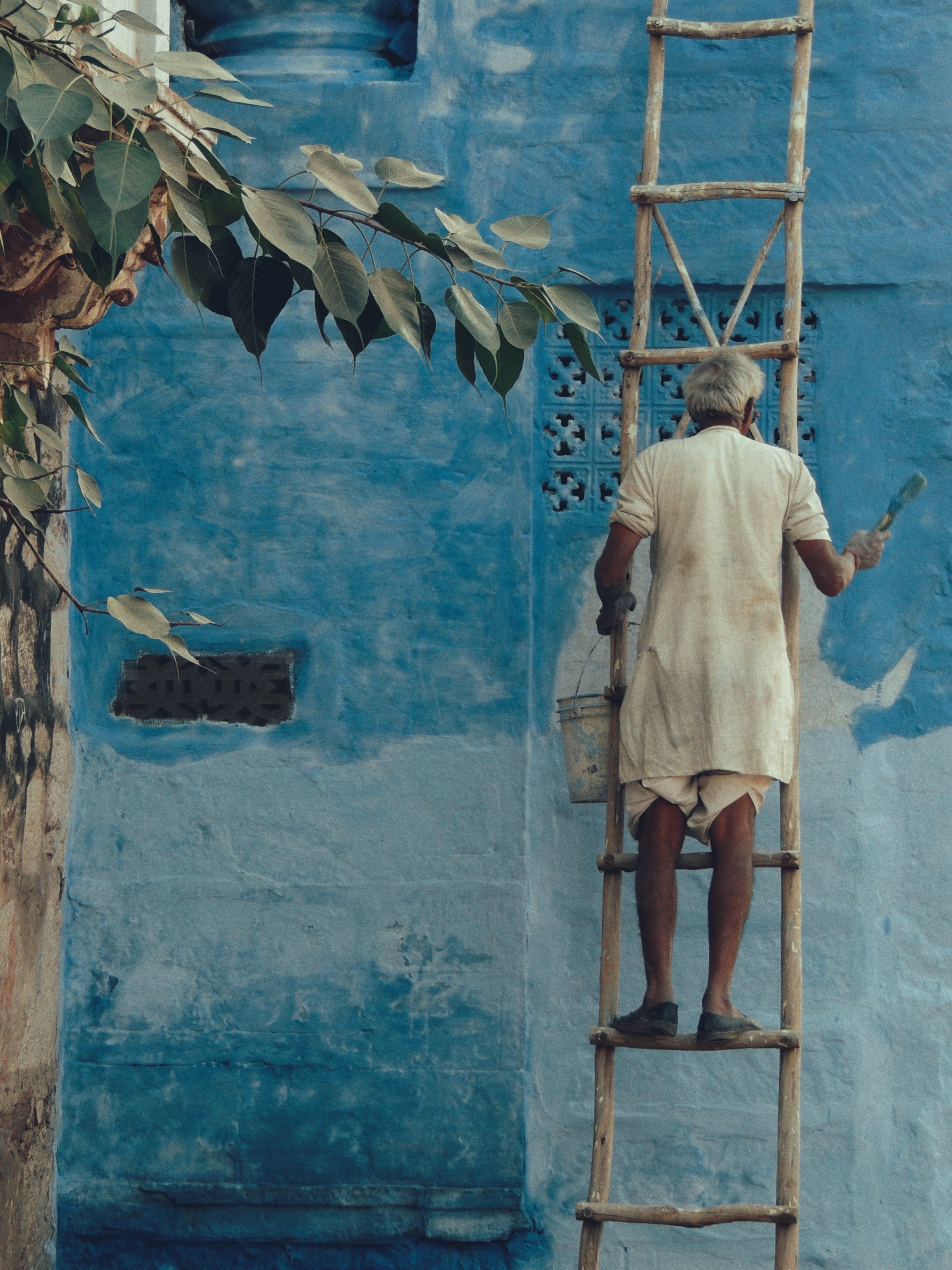 Passion Over Pitches